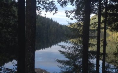 4th Annual Ghost Story (or whatever you are working on) Writing Retreat, Loon Lake, November 2018